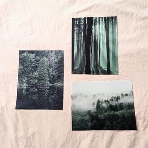 Forest canvas prints